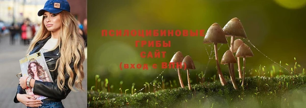 прущие крисы Верхний Тагил