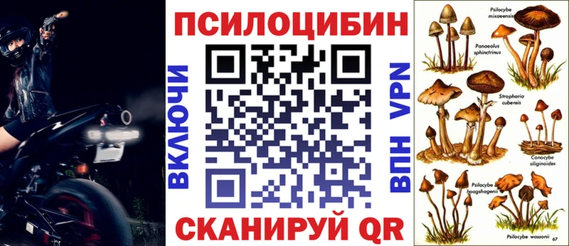 наркошоп  Волхов  Галлюциногенные грибы MAGIC MUSHROOMS 